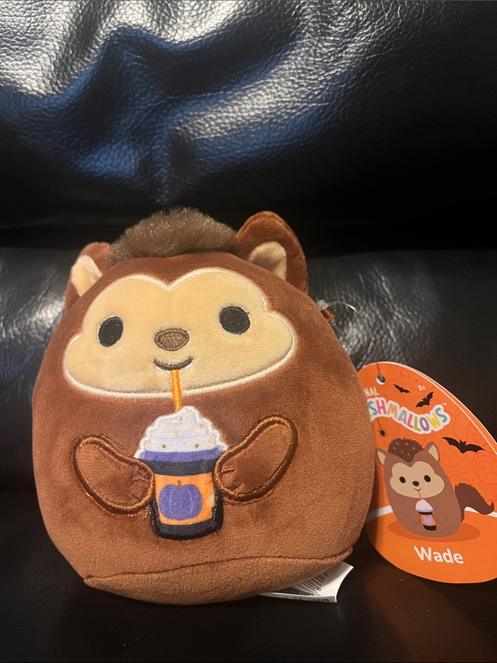 Squishmallows Brown and Cream Wade Monkey Plush with Drink Embroidery 6”
